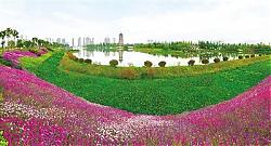 “兩型”生活一小步 “兩型”社會邁大步