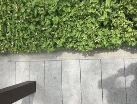 房地產(chǎn)“白銀時代”_龍光地產(chǎn)的綠色建筑之道