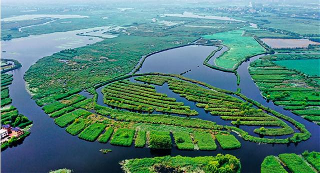 加碼碳中和，雄安綠色建筑擔(dān)當(dāng)“先行者”