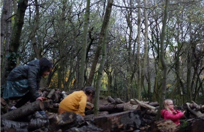 綠色建筑實踐：八種對氣候有益的建筑方法