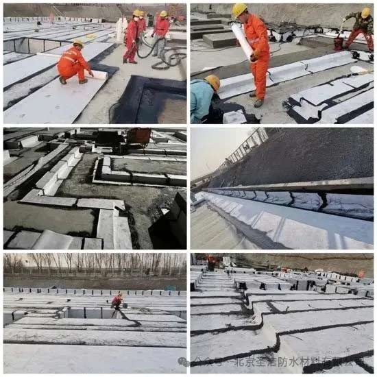 丙綸卷材的創(chuàng)新先鋒——圣潔防水董事長(zhǎng)杜昕