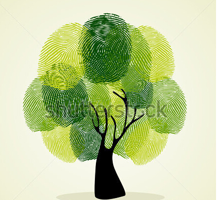 【綠建動態(tài)】北京、重慶、浙江、廣西、江蘇