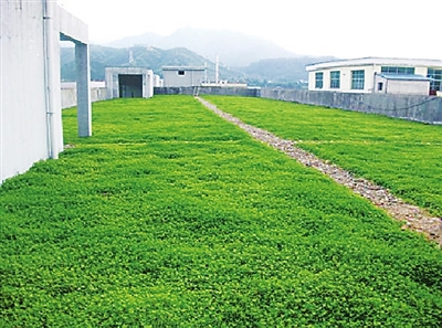 江西全南縣——屋頂搞綠化&nbsp;節(jié)地又環(huán)保