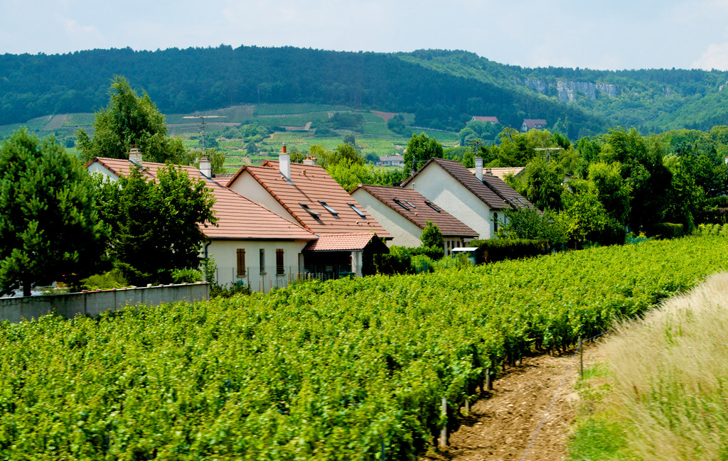 天津?qū)氎娼ǔ删G色農(nóng)居示范_十項技術(shù)環(huán)保節(jié)能 天津?qū)氎娼ǔ删G色農(nóng)居示范_十項技術(shù)環(huán)保節(jié)能