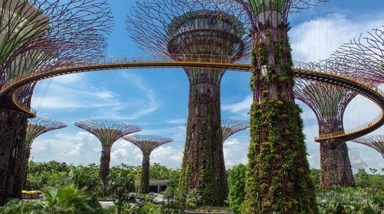 綠色建筑:新加坡濱海灣花園中的超級大樹 綠色建筑:新加坡濱海灣花園中的超級大樹