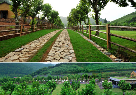 設(shè)計(jì)師如何使用綠色建材