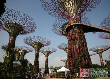 【綠建講堂】借鑒國內(nèi)外先進(jìn)經(jīng)驗(yàn)向霧霾宣戰(zhàn)——城市立體綠化治理PM2.5（12月25日綠建之窗微信群第十八期講座）