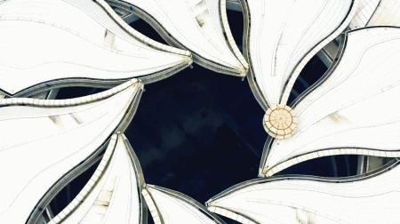 耗資11億、重達(dá)1280噸、40米高空上的“蓮花”建筑開(kāi)花了！網(wǎng)友：撲面而來(lái)的中國(guó)風(fēng)！