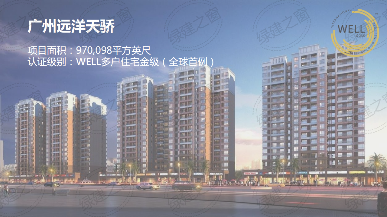WELL健康建筑標(biāo)準(zhǔn)講座-王麗（2020）